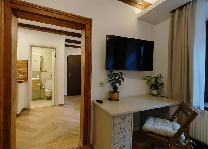 Apartment La Garcon Brasov