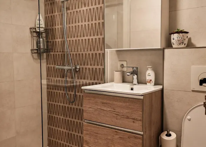 Apartment La Garcon Brasov